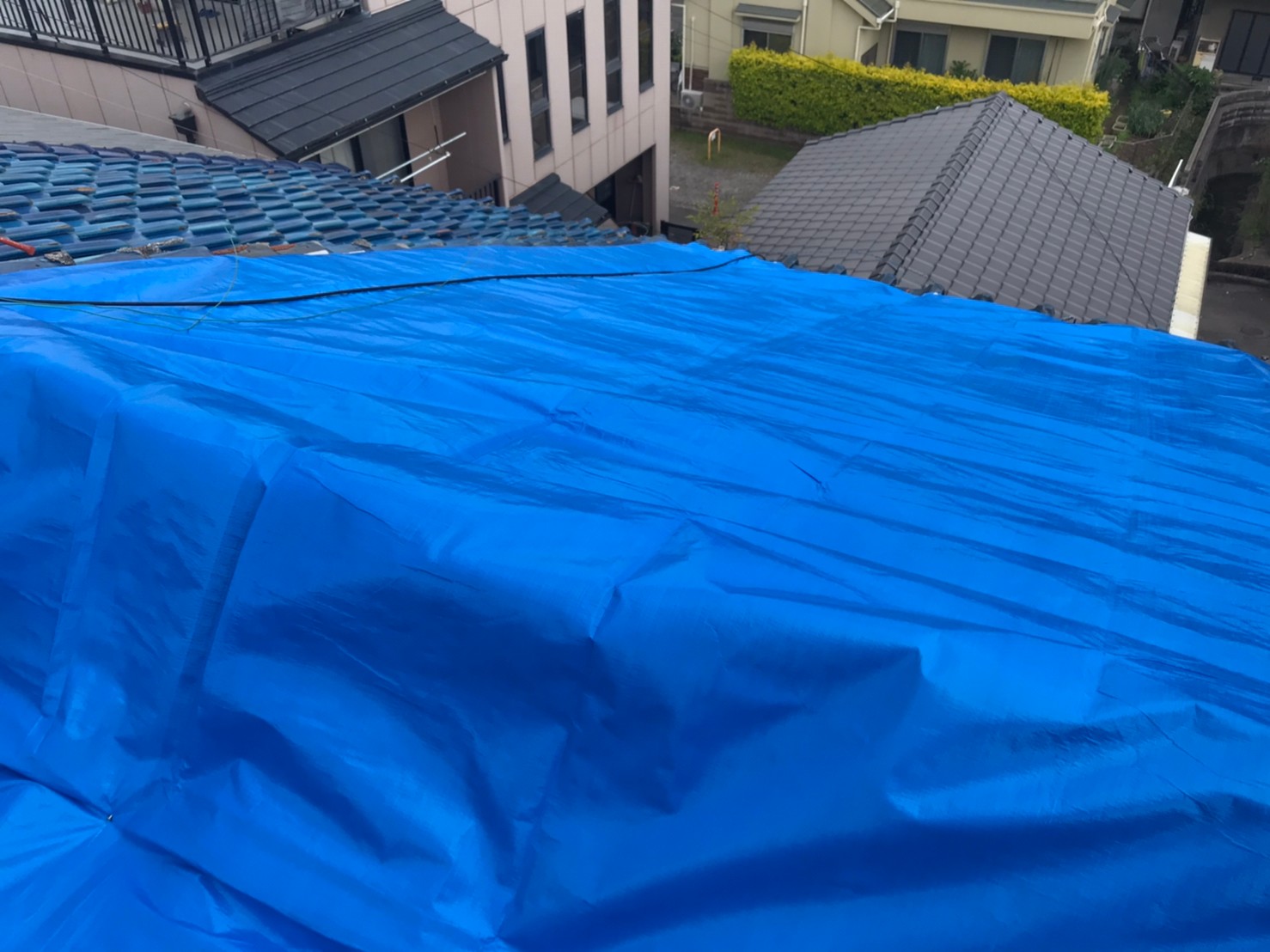 ブルーシート養生